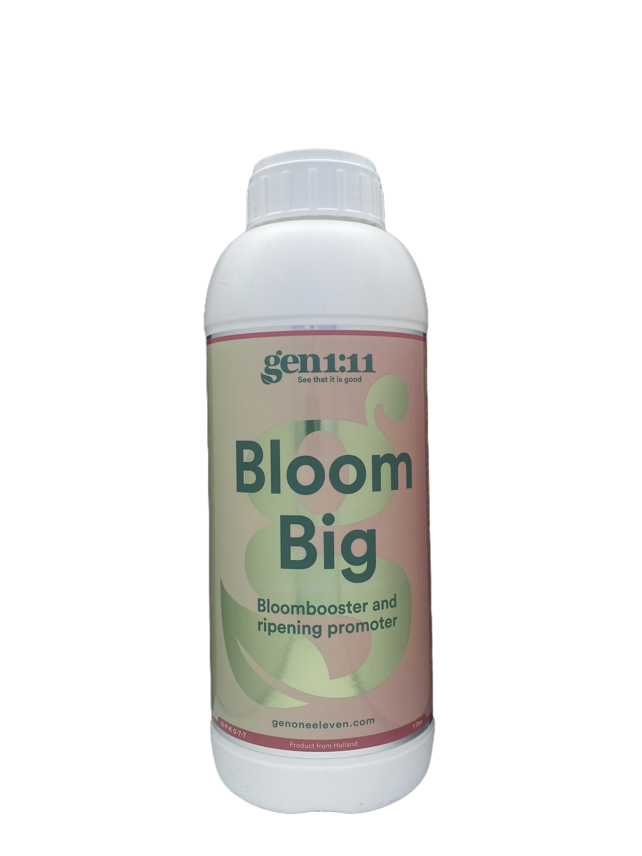 Bloom Big