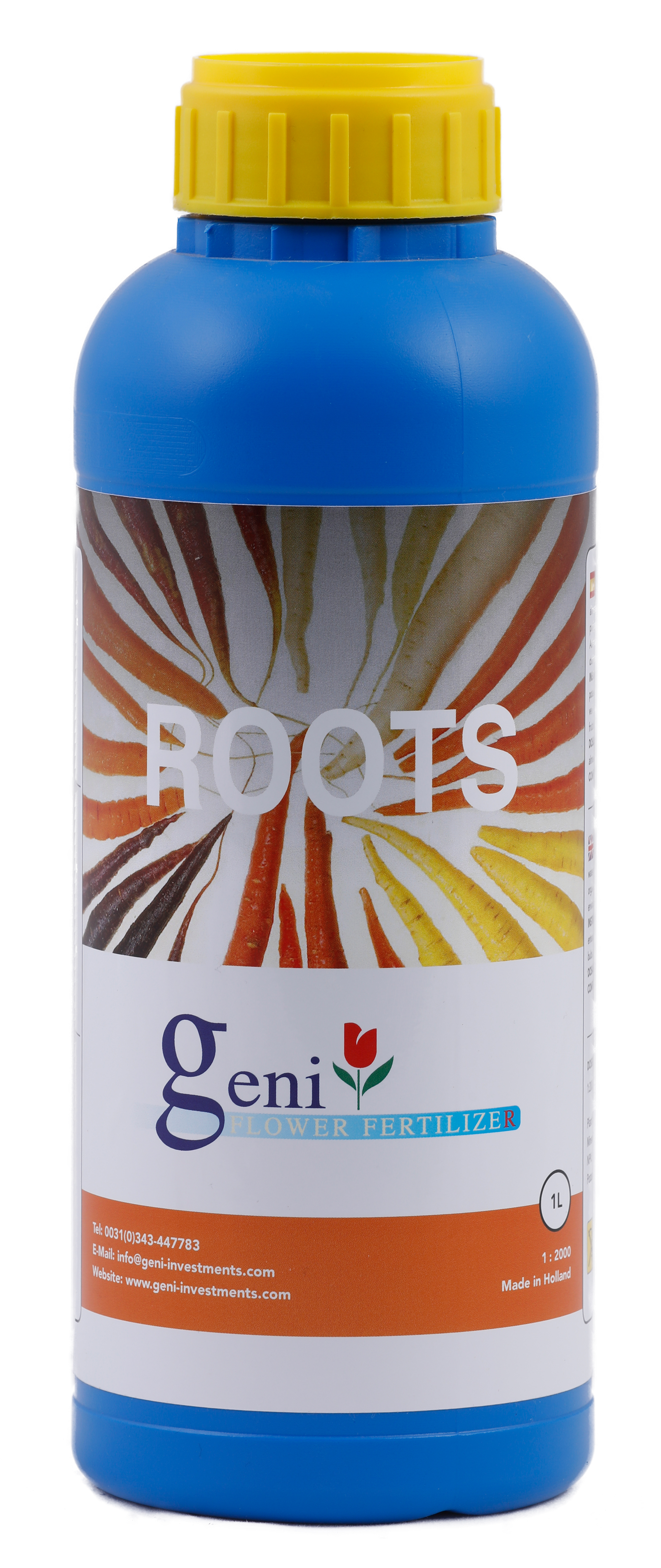 Geni Roots 