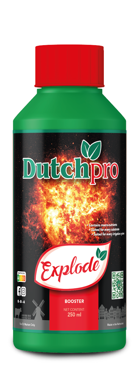 Dutchpro Explode Dutchpro Explode
