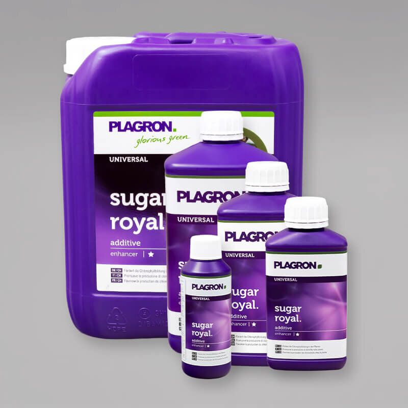 Plagron Sugar Royal