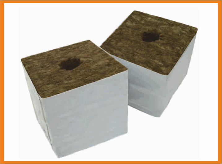 Speedgrow Startblöcke 7,5 x 7,5 x 6,5cm Speedgrow Startblöcke 7,5 x 7,5 x 6,5cm