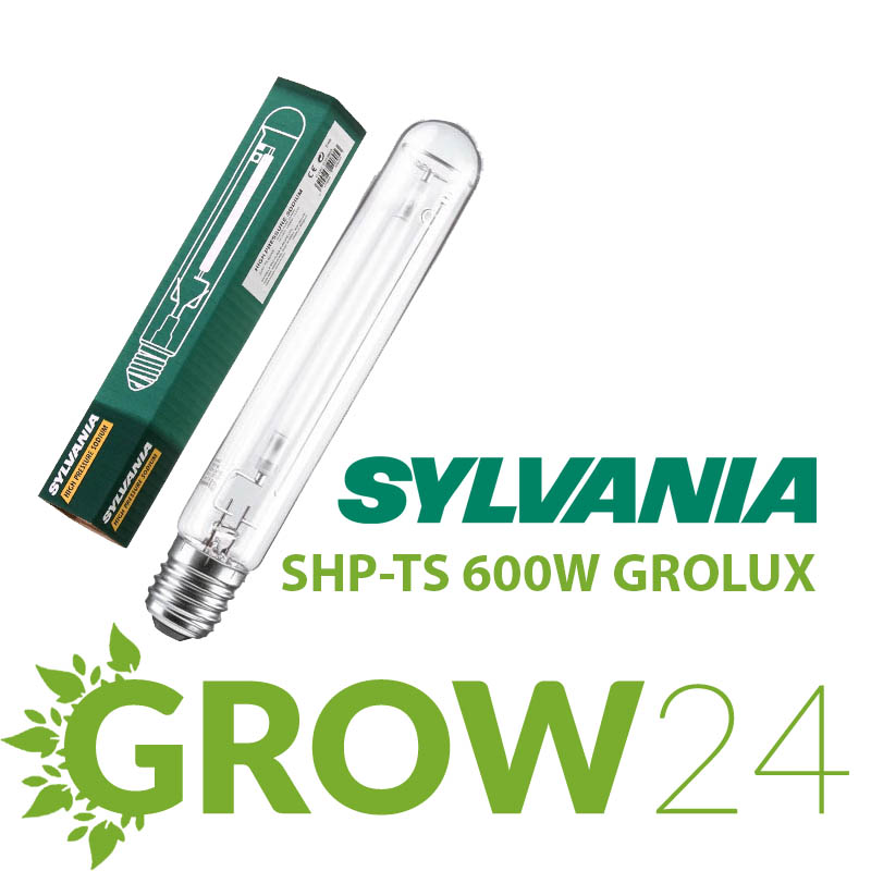 SHP-TS-600W-GROLUX-LeuchtmittelG3wzFdZ8LyRtY SHP-TS 600W GROLUX Leuchtmittel
