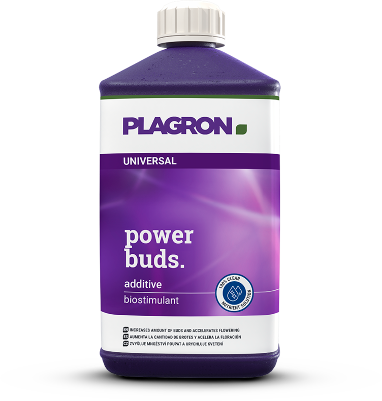 Plagron Power Buds