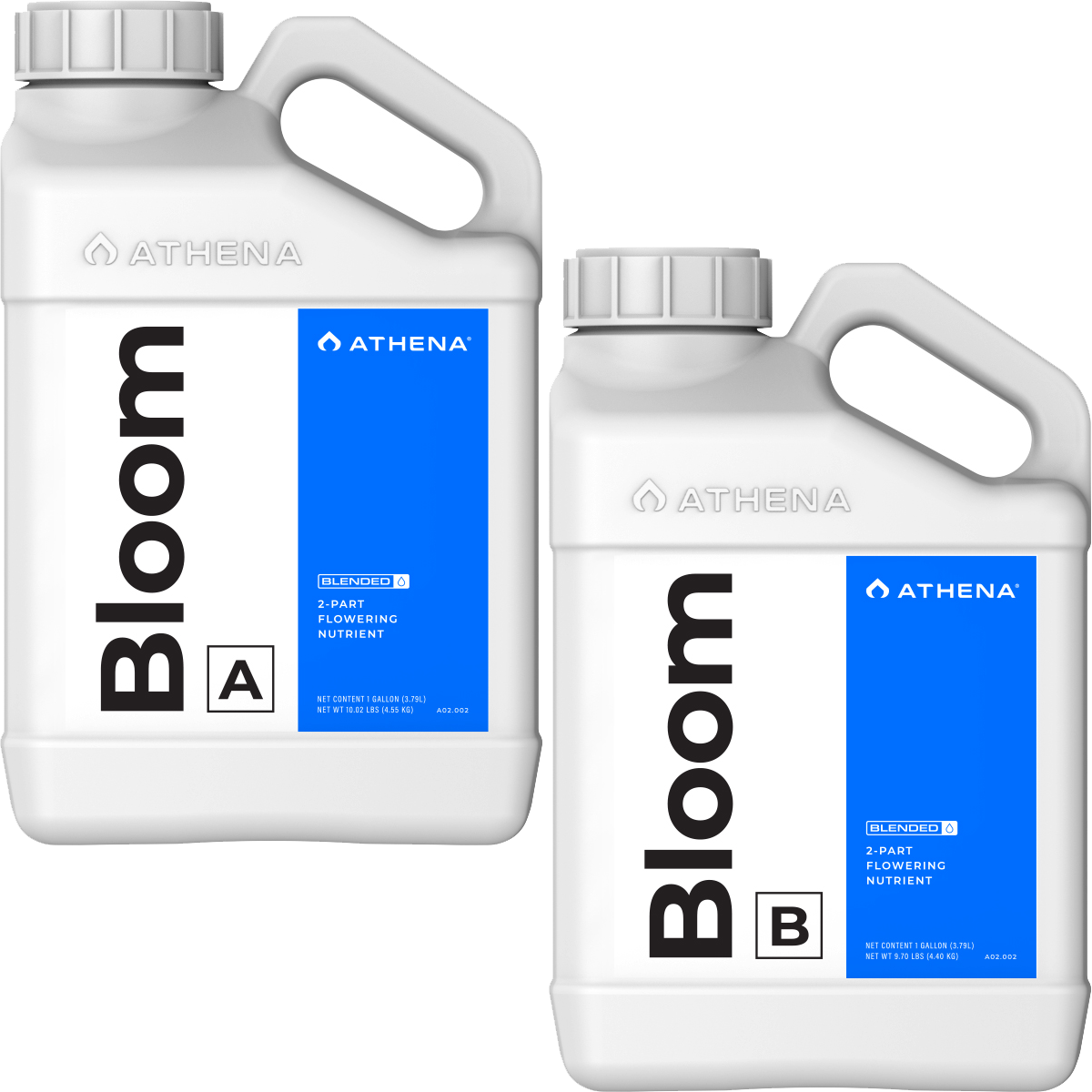 Athena Bloom A+B 3.78 L