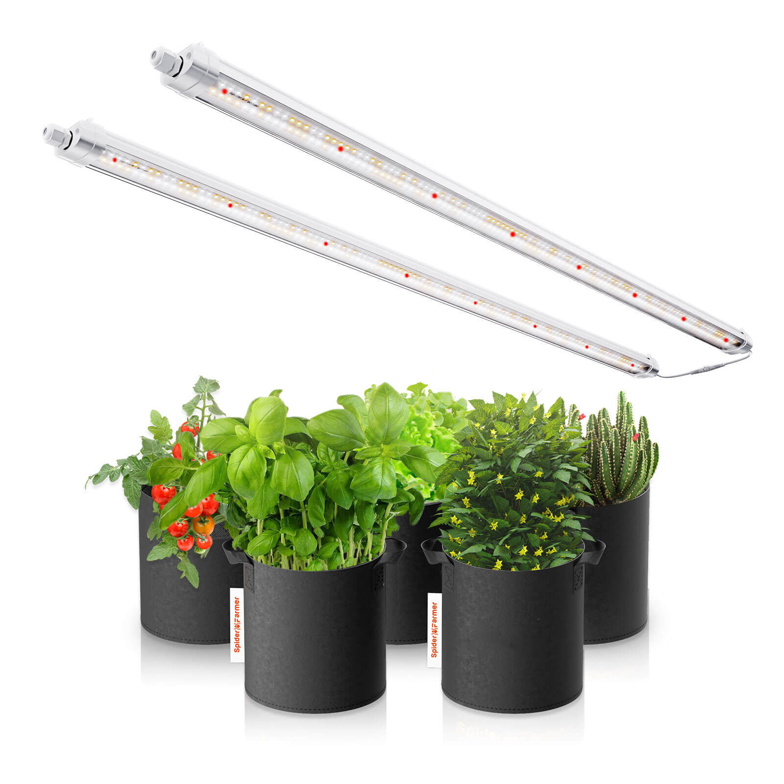 Spider Farmer Glow80 80W Vollspektrum LED-Lichtleisten, IP65