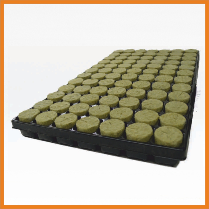 Steinwoll Plug Basic