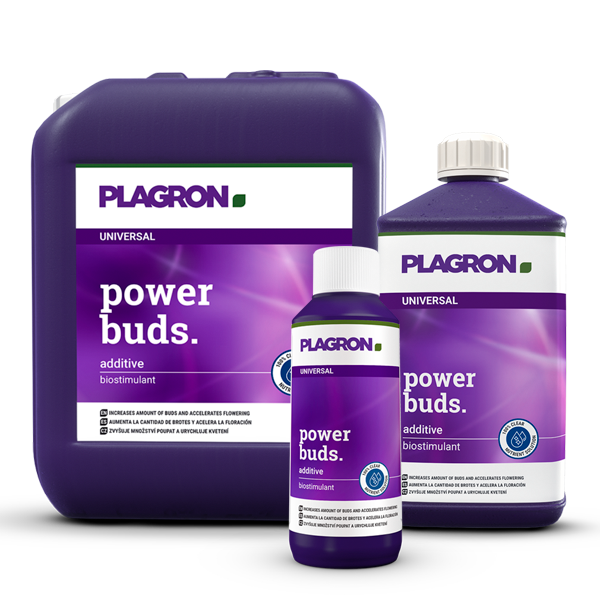 Plagron Power Buds